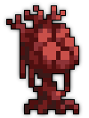 Bloodroot Heart