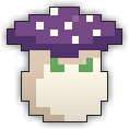 Mushroom Shaman